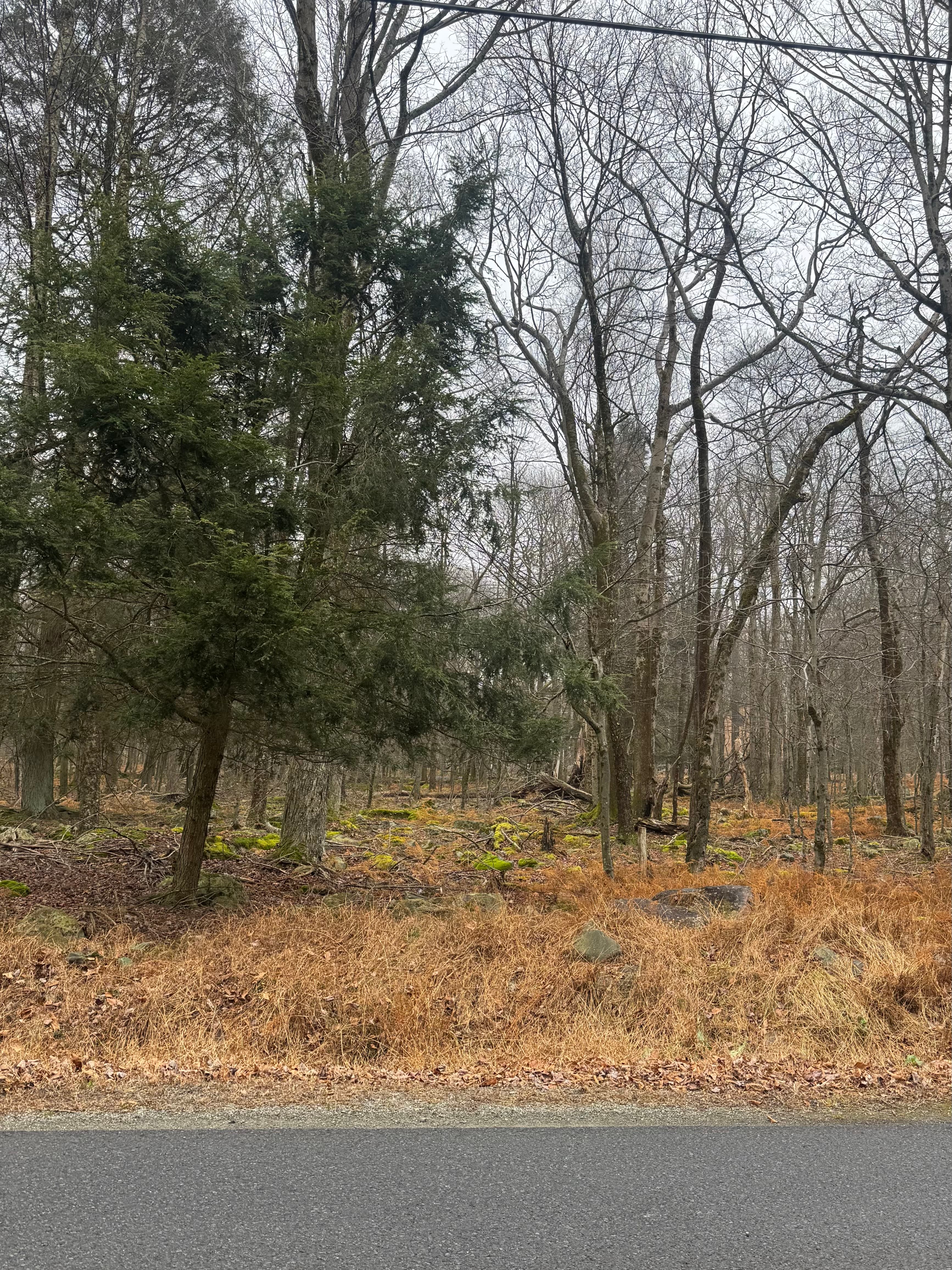 14 Ski Hill Dr, South Sterling, PA 18445