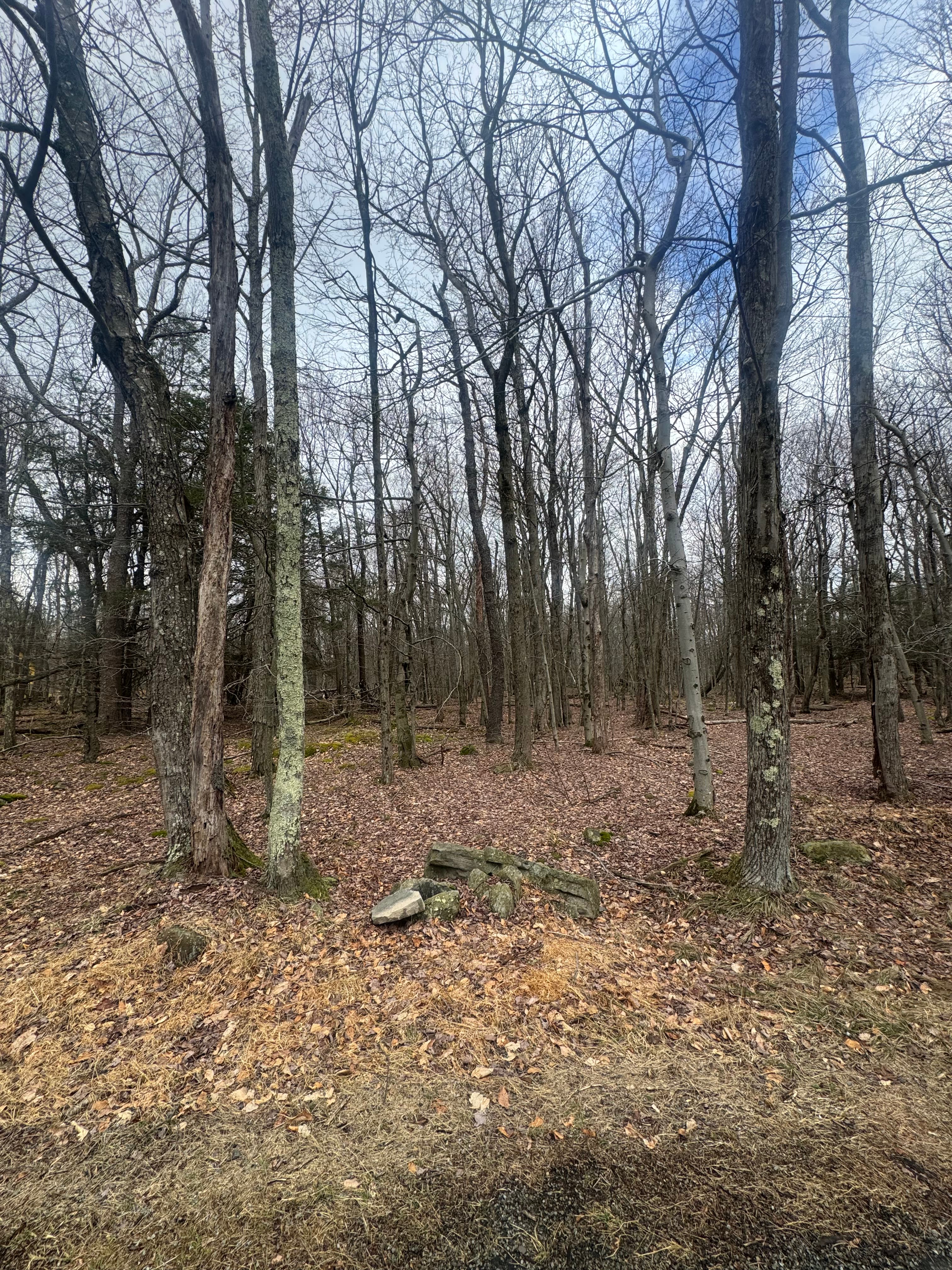 51 Alder Dr, South Sterling, PA 18445